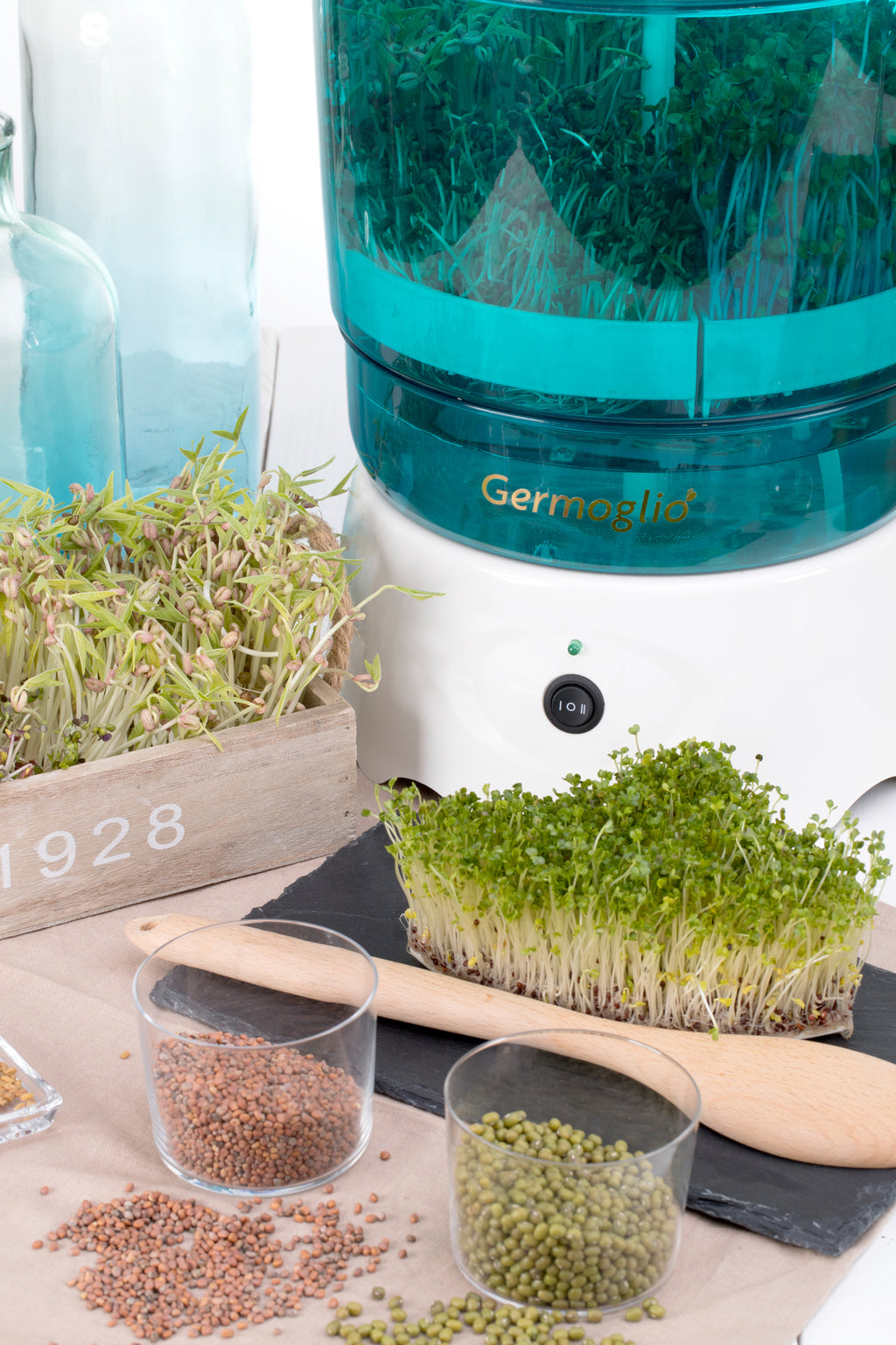 Seed sprouter automatic machine Germoglio